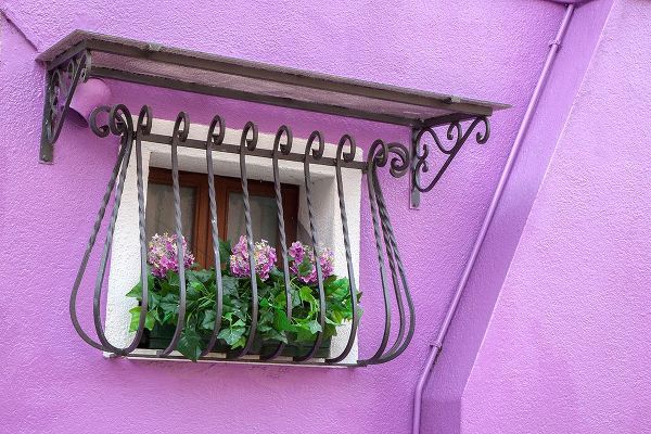 Eggers, Julie 아티스트의 Italy-Venice-Burano Island Potted hydrangeas on a window sill of a lavender house작품입니다.